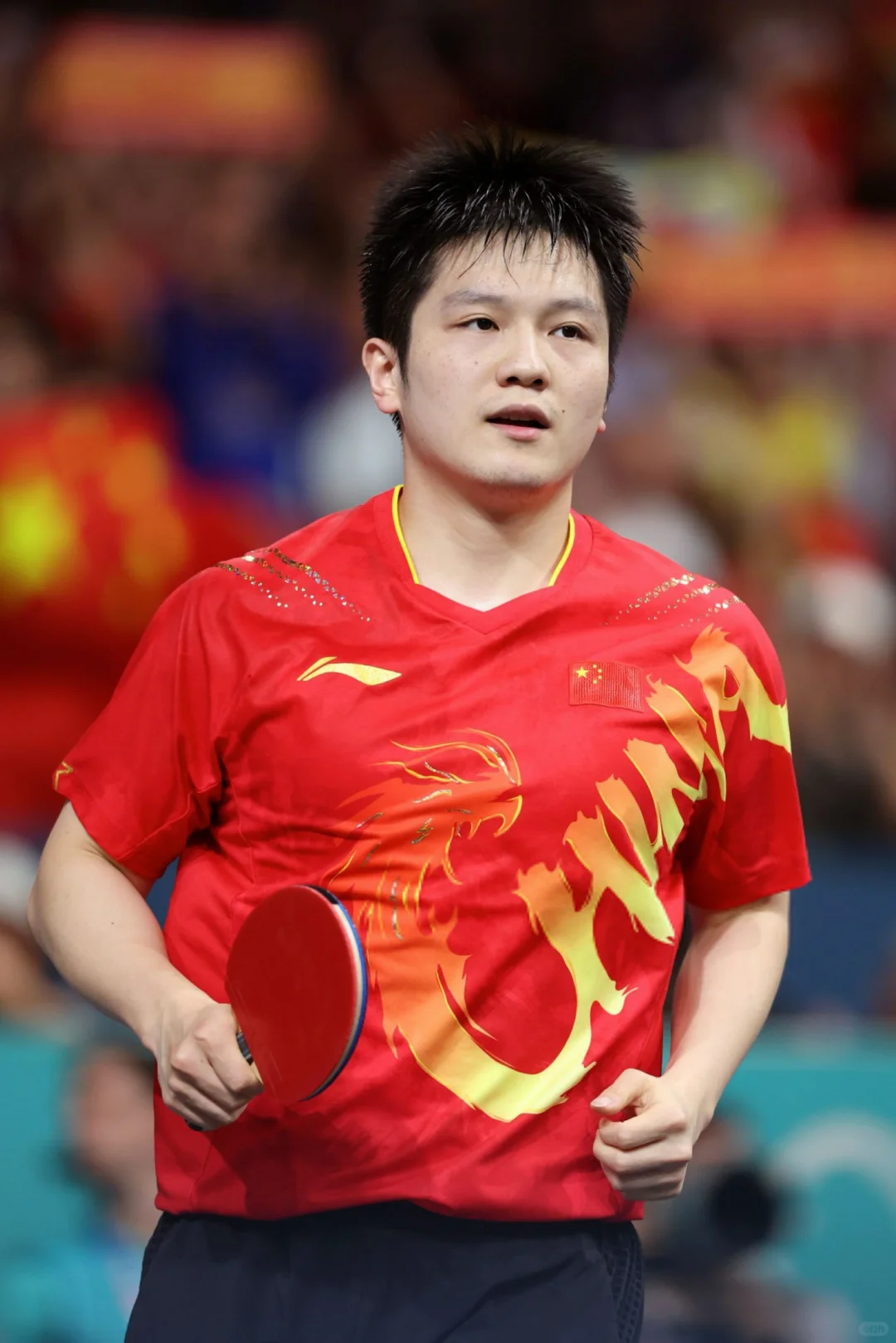 恭喜樊振东！巴黎奥运会！乒乓球男单冠军