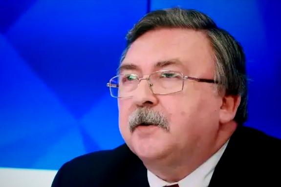 美以这手伸得太长，核电站也敢动？俄罗斯人把话挑明了

俄罗斯那边在维也纳的代表，