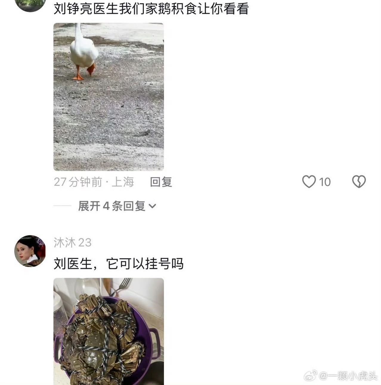 大事很妙，看小城良方根本没有不笑的义务！果然没有人可以一直倒霉除非他是刀特刘，肖