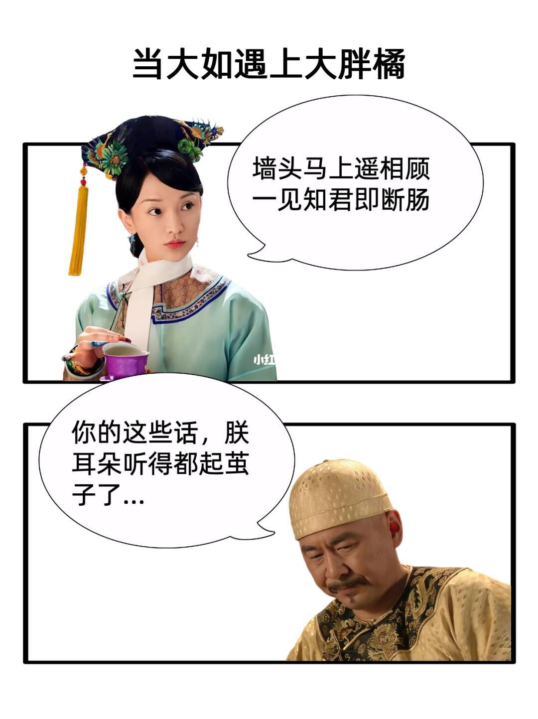 假如大如和大胖橘是夫妻……