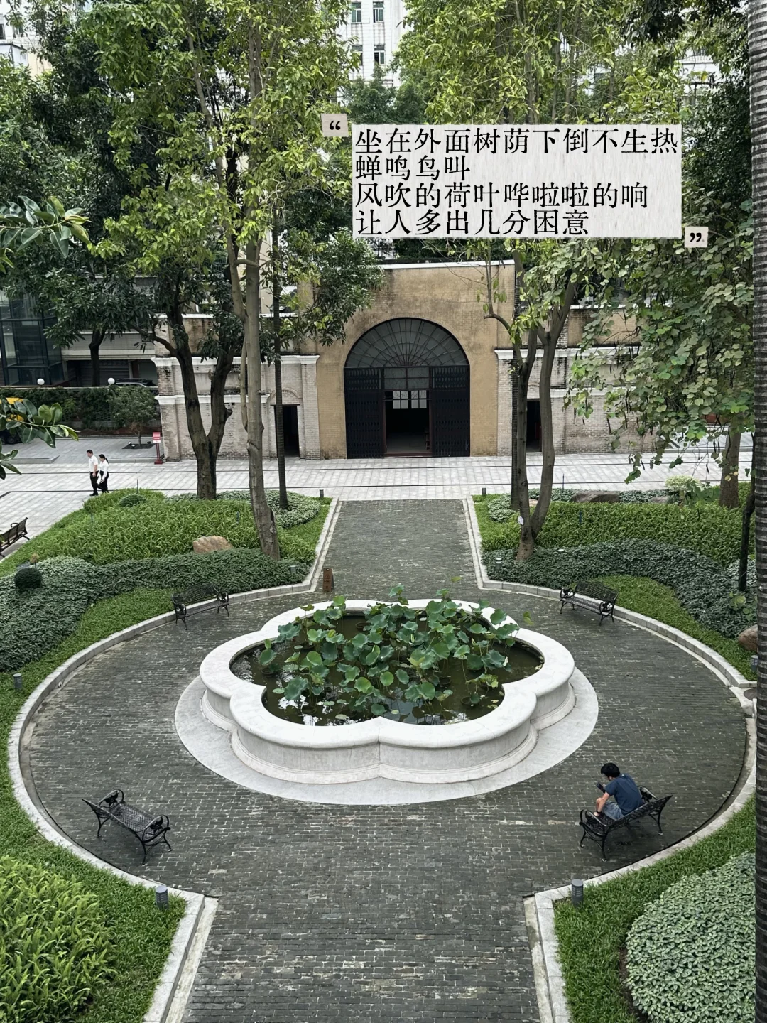 炎炎夏日❗️近期出门最喜欢的一条散步路线🍃