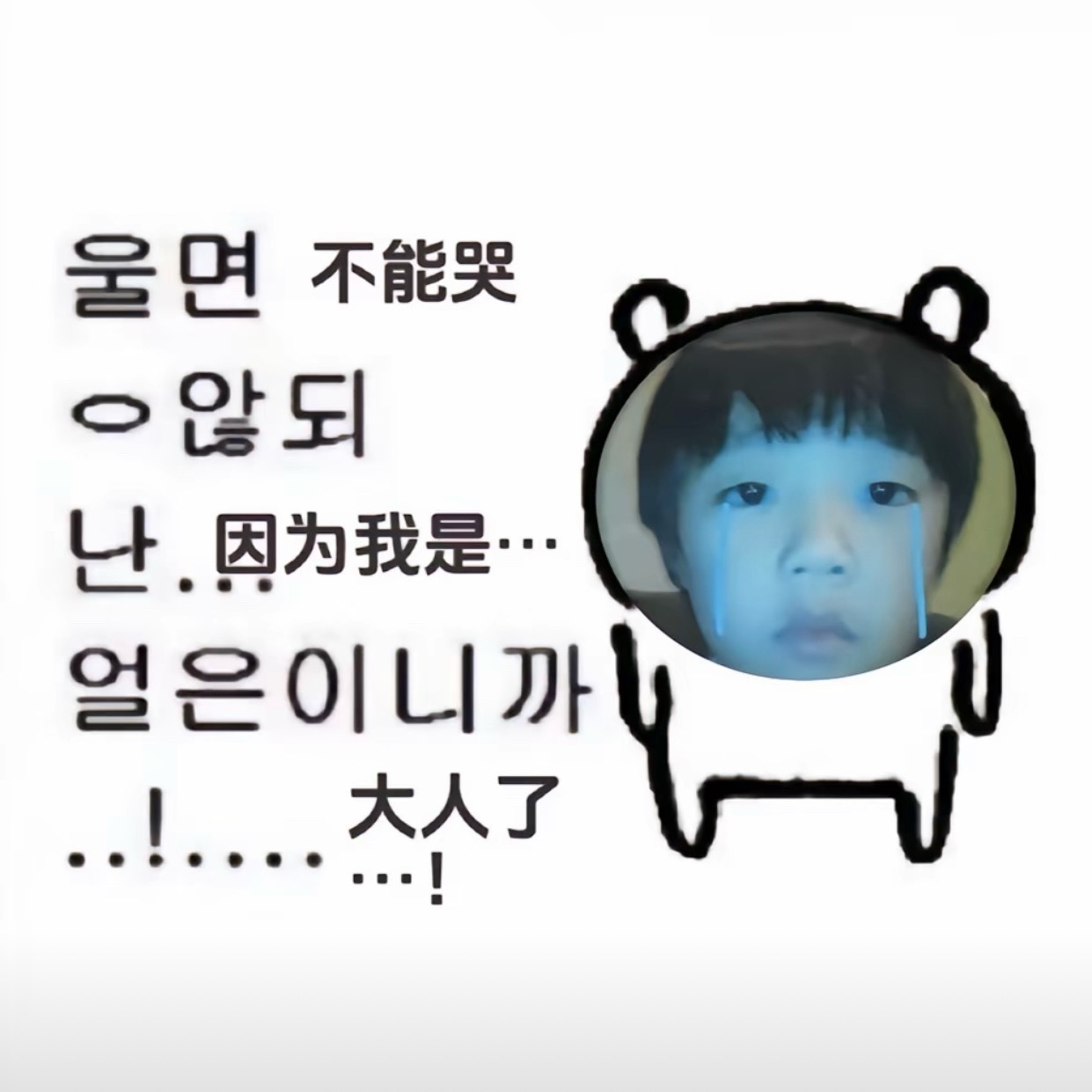 下半年喜欢tbz好幸福呀 尤其是喜欢絮絮 