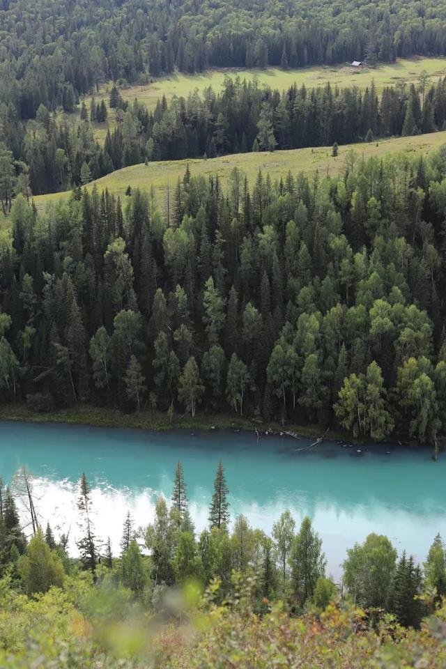 生活报|太棒啦！官宣：免费