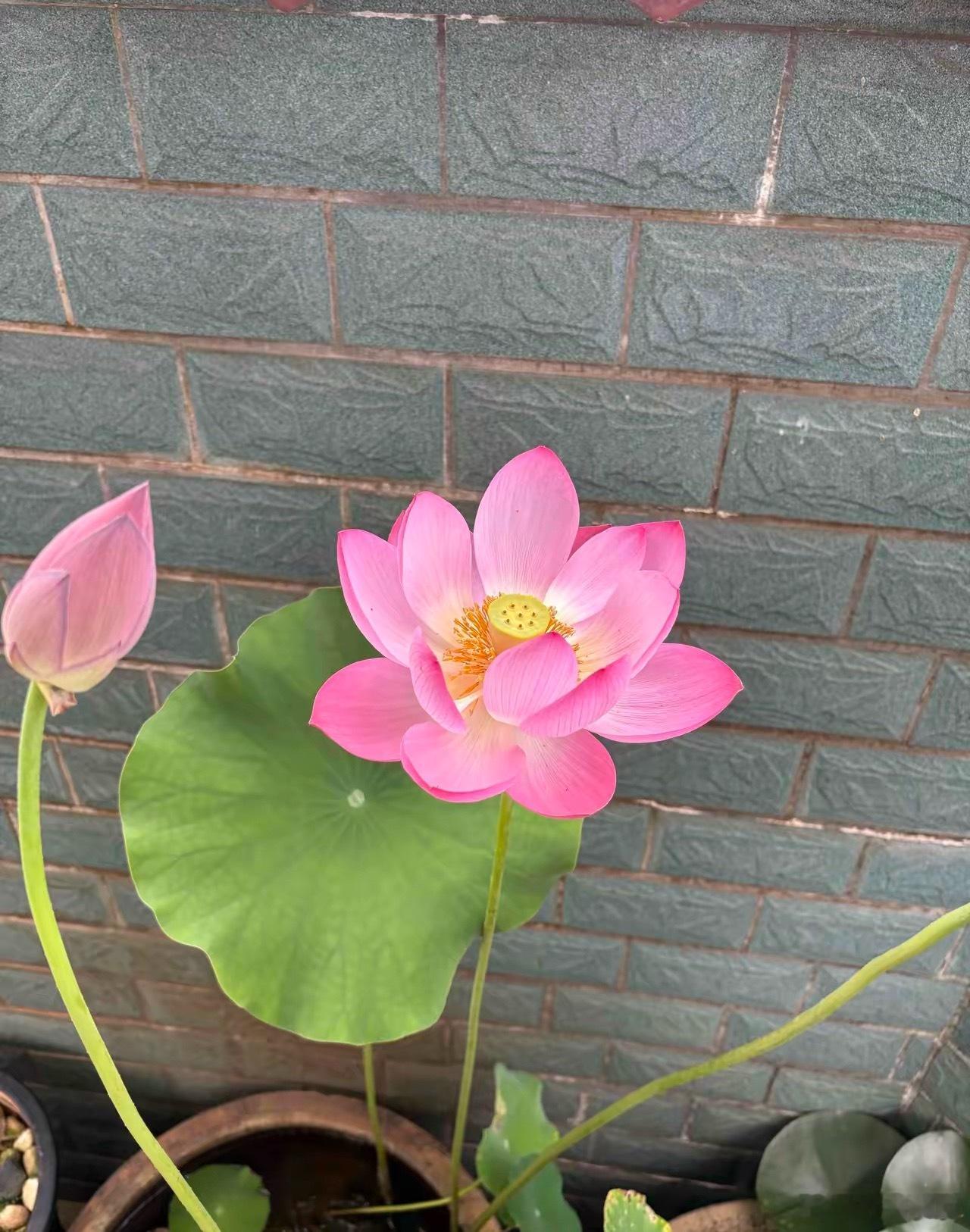 人老了，想多活几年，先管住自己这二十点：1. 不摔倒：年纪大骨骼脆、反应慢，摔跤