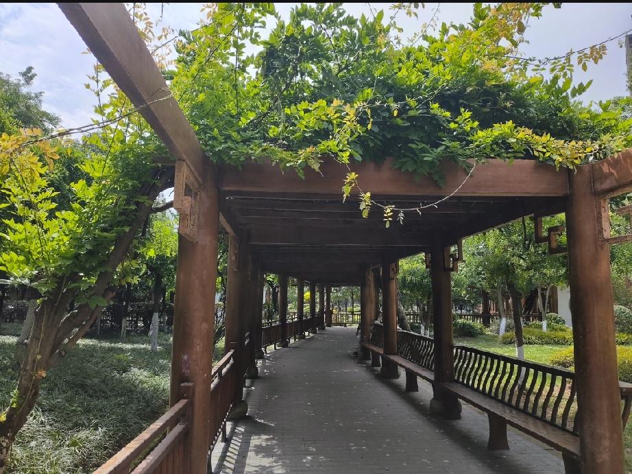 沏上一杯清茶，
静下心回望半生来路。
年轻时一心追逐名利、
爱攀比脸面，
常常被