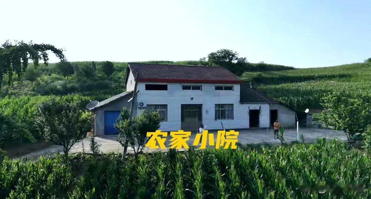 湖北宜昌夷陵区鸦鹊岭镇的这个房源，是单家独户的，屋前团转有25亩山林，20亩土地
