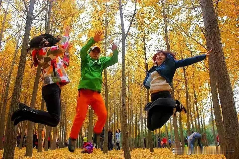 旅行推荐官 跟我去旅行 一起游山玩水