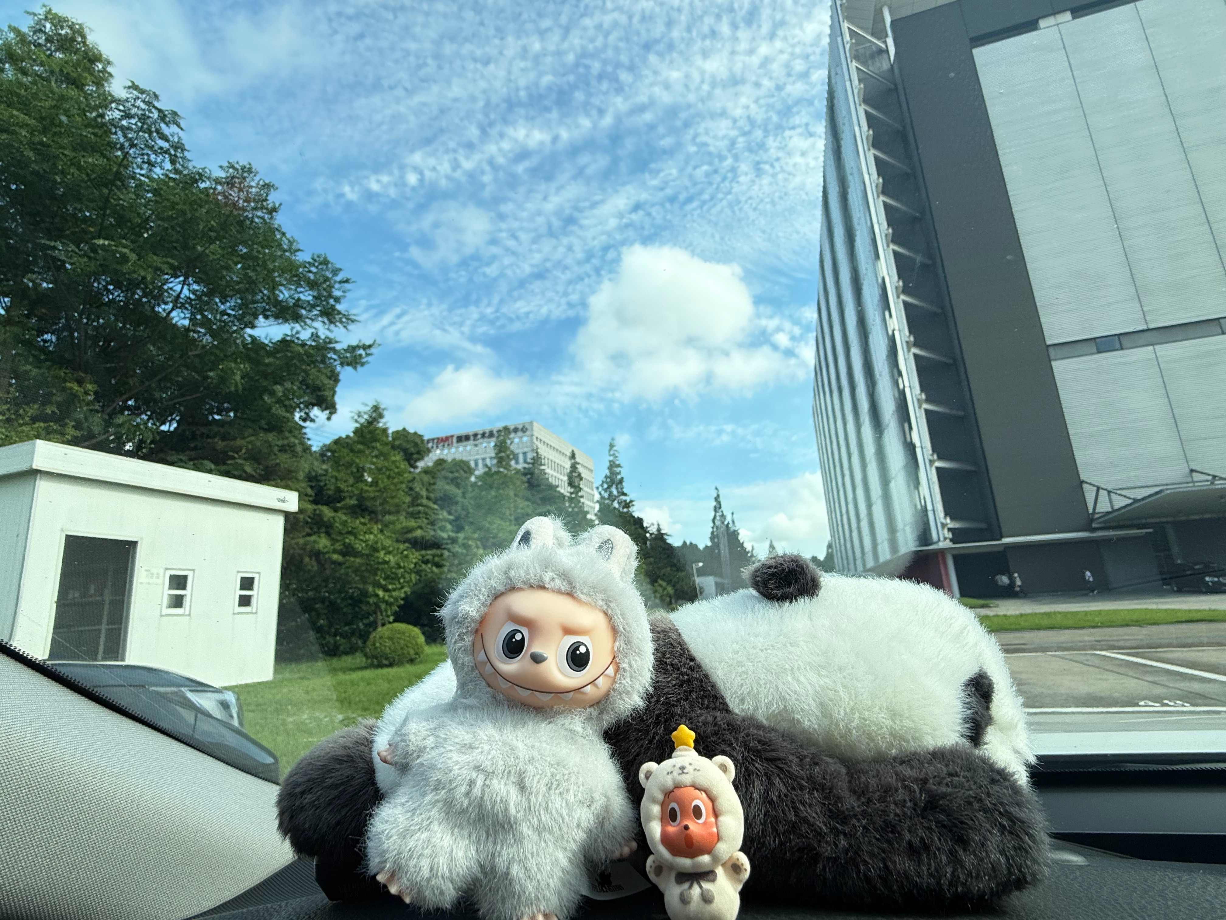 周五的阳光格外热烈☀️🌀是拐弯了吗今天只做快乐的事