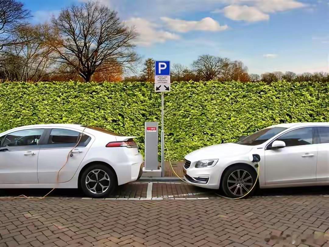 中国造的"老头乐"在美国杀疯了 "老头乐"低速电动车在太平洋彼岸意外走红，单价飙