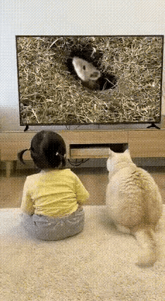 笑不活了！猫咪看视频猛扑大老鼠，一爪子干碎电视屏！小主人当场石化…
 
谁能想到