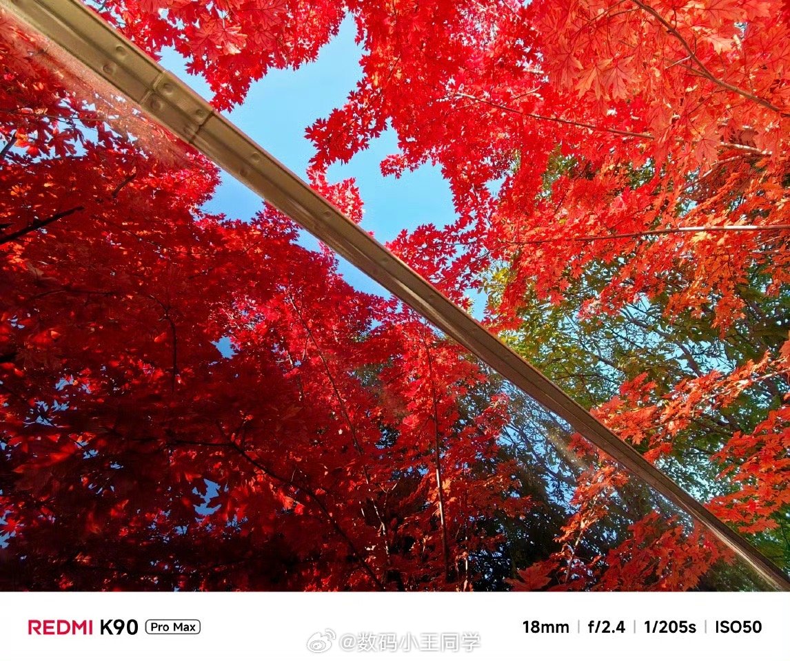 午后阳光揉碎成金，办公楼转角的枫叶红得热烈，像大自然打翻的调色盘～ K90Pro