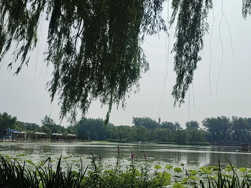 分享你随手拍得风景
