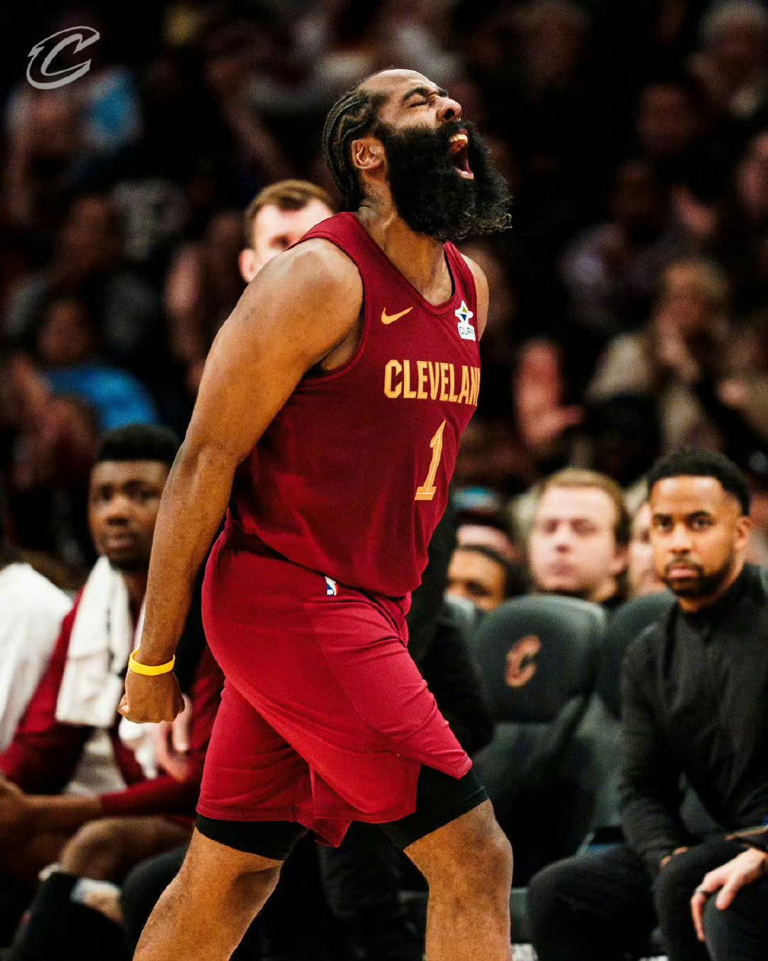 骑士vs步行者赢球的心情：爽！！！！！克利夫兰骑士骑士哈登nba