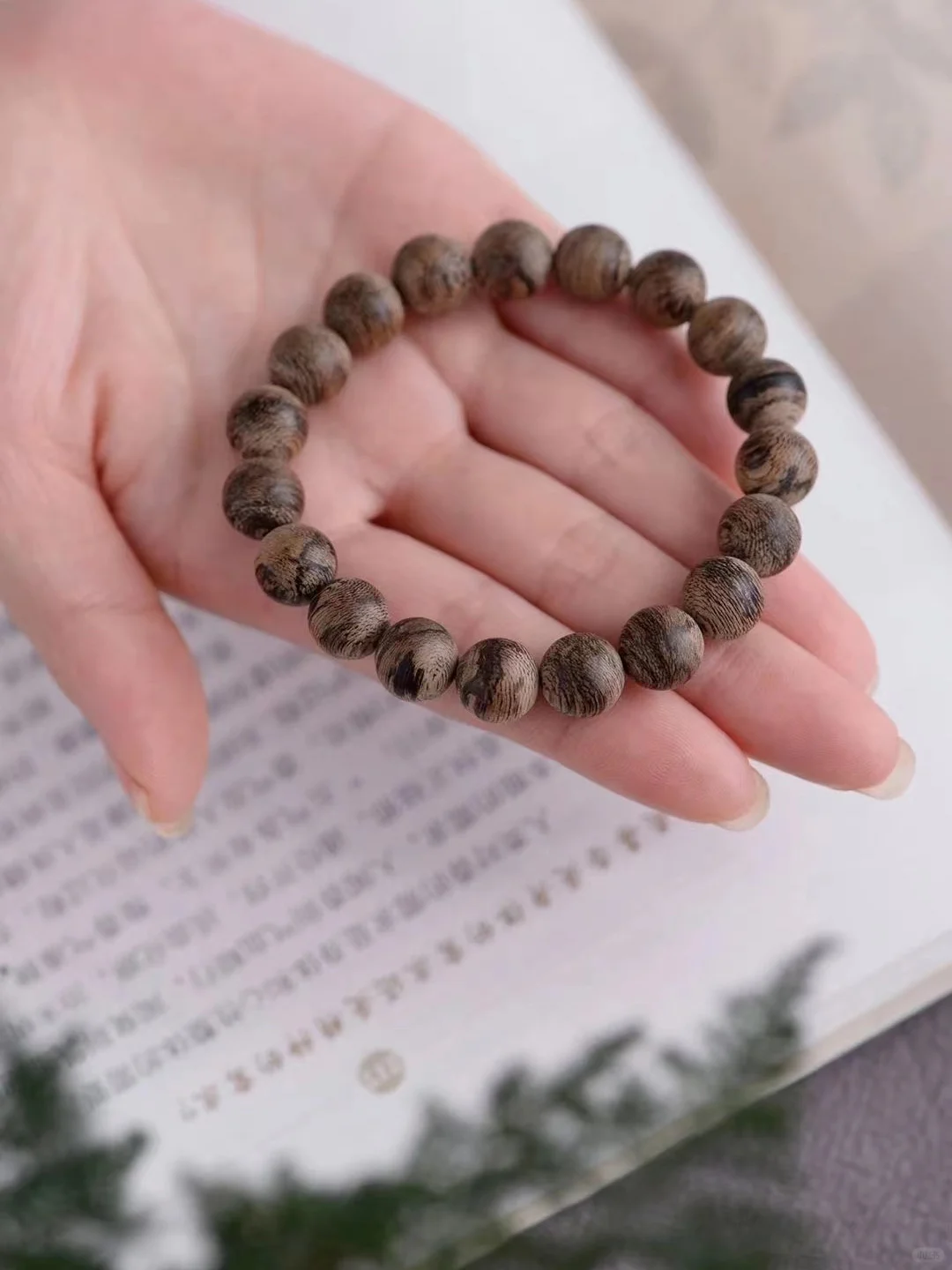 就带我走吧，浪漫的收藏家~ 沉香📿