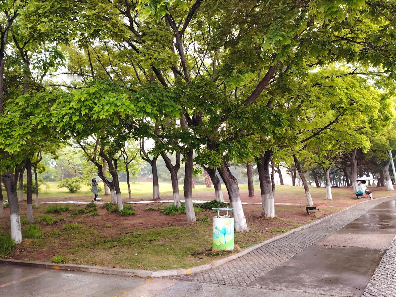 好雨知时节！久旱逢甘霖！
大旱的青岛在初夏终于迎来了一场像样的雨水了，真棒！雨后