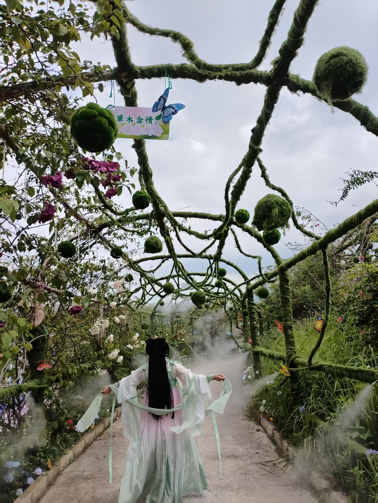 人这一辈子
活到中年才明白，
最高级的活法：自在随心。
 
不再跟别人攀比，
不