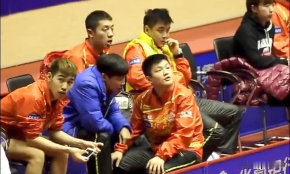 不至于，真不至于！
有网友发现，刻意抹黑樊振东账号的公司，陈玘也是股东之一，意外