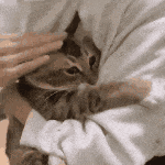 我表达力很差于是只能这样安慰朋友 