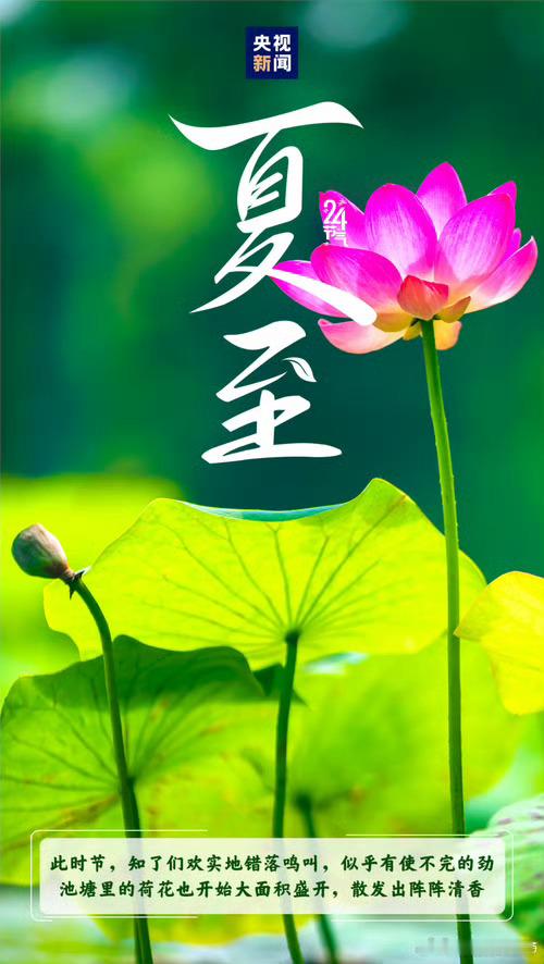 6月21日16时24分夏至。树荫渐浓，暑气渐盛。愿这个夏天，所有期待都滚烫，所有