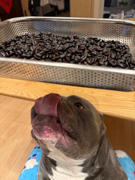 先进今天又监制了☕️