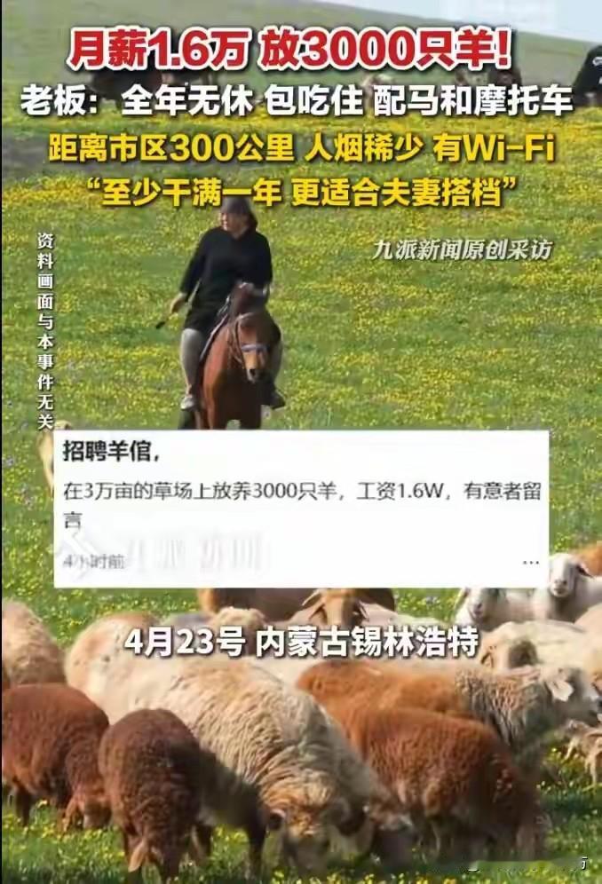 月薪16000元放3000只羊！近日，内蒙古锡林浩特一处牧场的招工信息火遍全网，