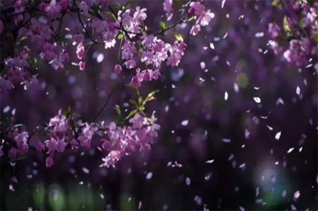 上联：暮雨小楼凝落蕊，如何对下联
下联：寒灯孤馆抱残枝

赏析：上联“暮雨小楼凝