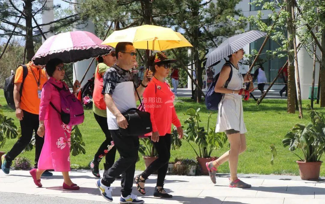 深读《道德经》在生活中给心灵“留白”、在处理矛盾时“以柔克刚”，以提升韧性的可持