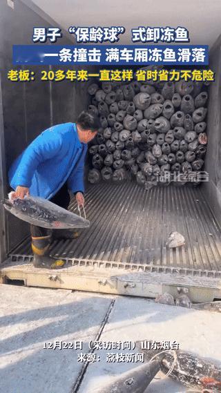 太有头脑了！12月23日报道，山东烟台，一装卸工人在卸冻鱼时，为保护自身安全，用