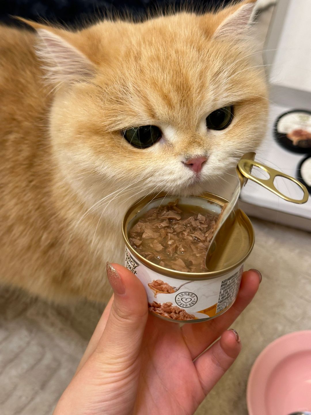 主食罐加水？不存在！干湿搭配就选汤汁多的