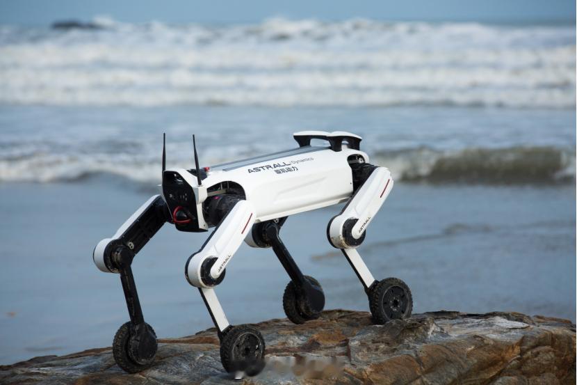 专注于机器人平台及核心零部件自主研发的创新企业璇玑动力宣布完成近亿元天使轮融资。