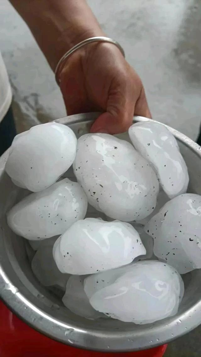 极罕见，这就是昨天下午3点多广州下的特大号冰雹，奶奶说，她80多岁了也没见过这么