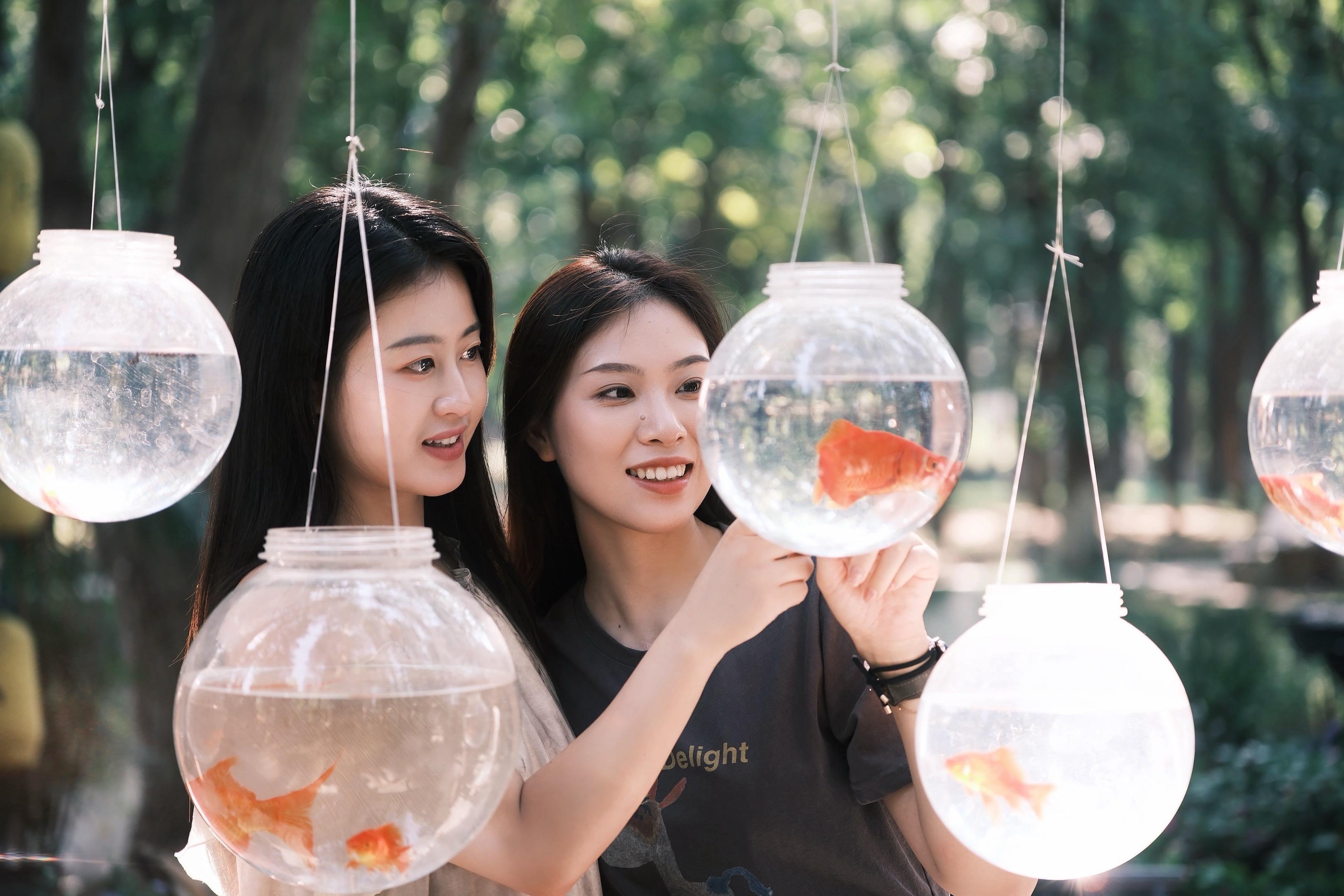 美好如我们