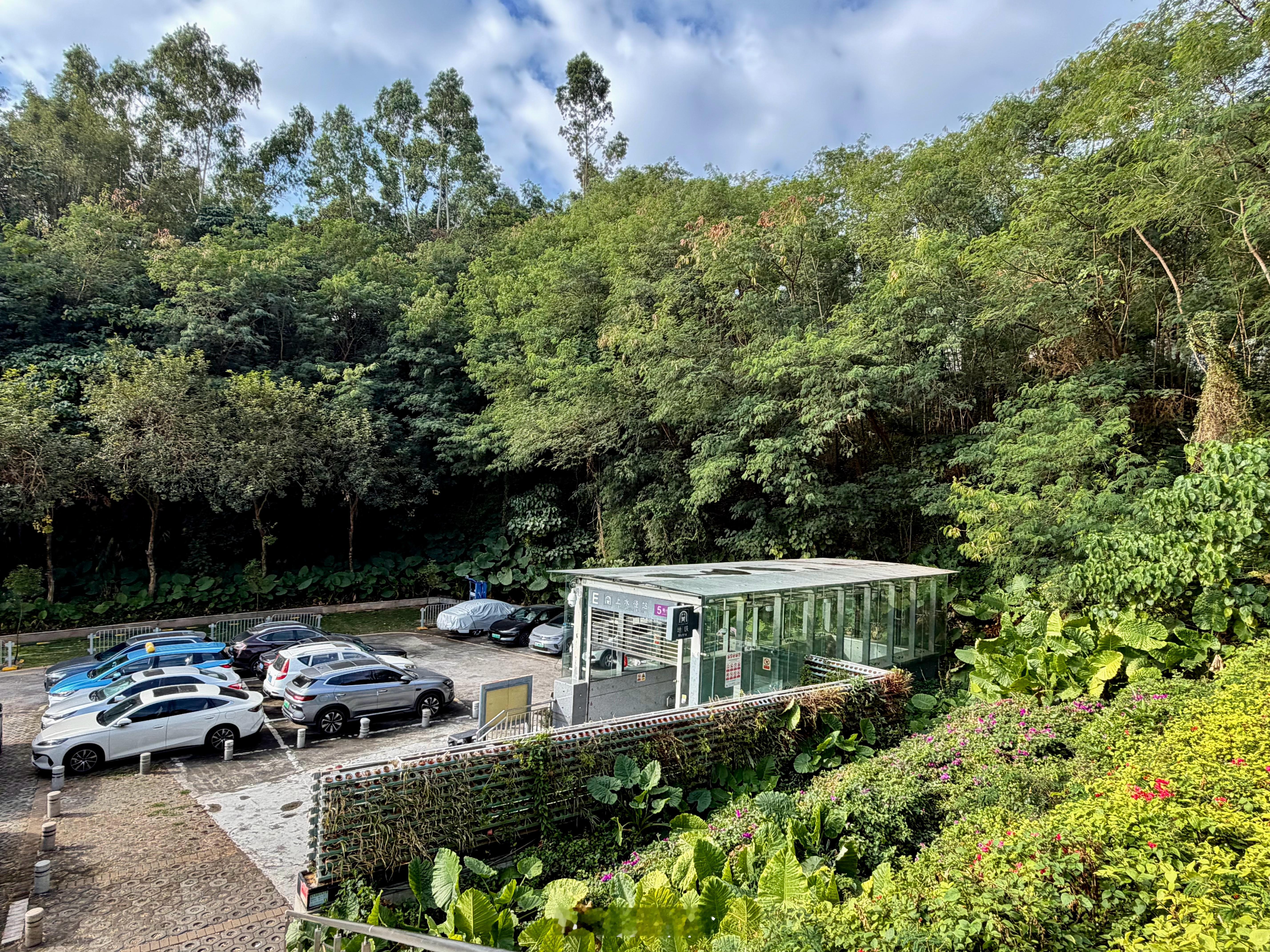 深圳最离谱地铁站之一，五号线的上水径车站修在山里，出站后要翻过山才能到附近小区深