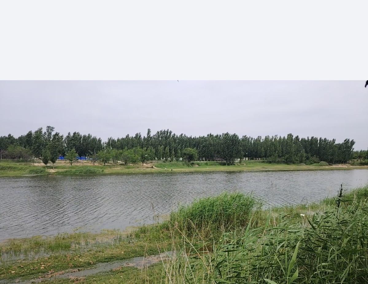 “有人保护”的感觉真好！[小鼓掌][小鼓掌][小鼓掌]

那种瞬间被温暖的感觉，