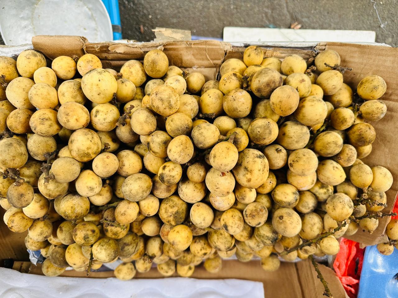 东南亚水果龙贡果 形状类似龙眼，果肉软嫩香甜，味道独特，介于葡萄和山竹之间。