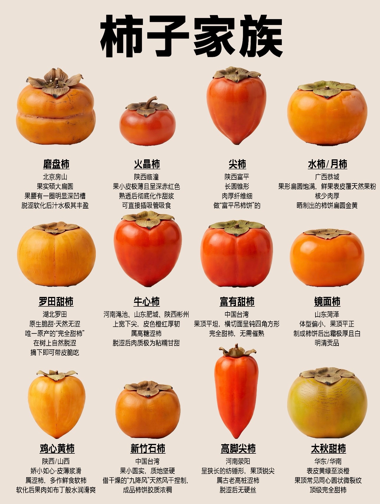 唐代的《酉阳杂俎》中总结出了“柿有七绝”：一多寿，二多阴，三无鸟巢，四无虫蠹，五