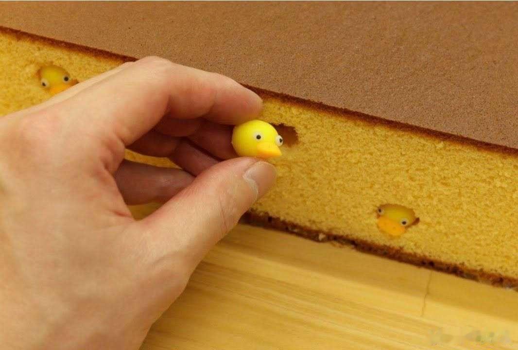 长崎蛋糕里面藏了看起来像玩具但其实是豆沙制成的小鸡🐥✨ 