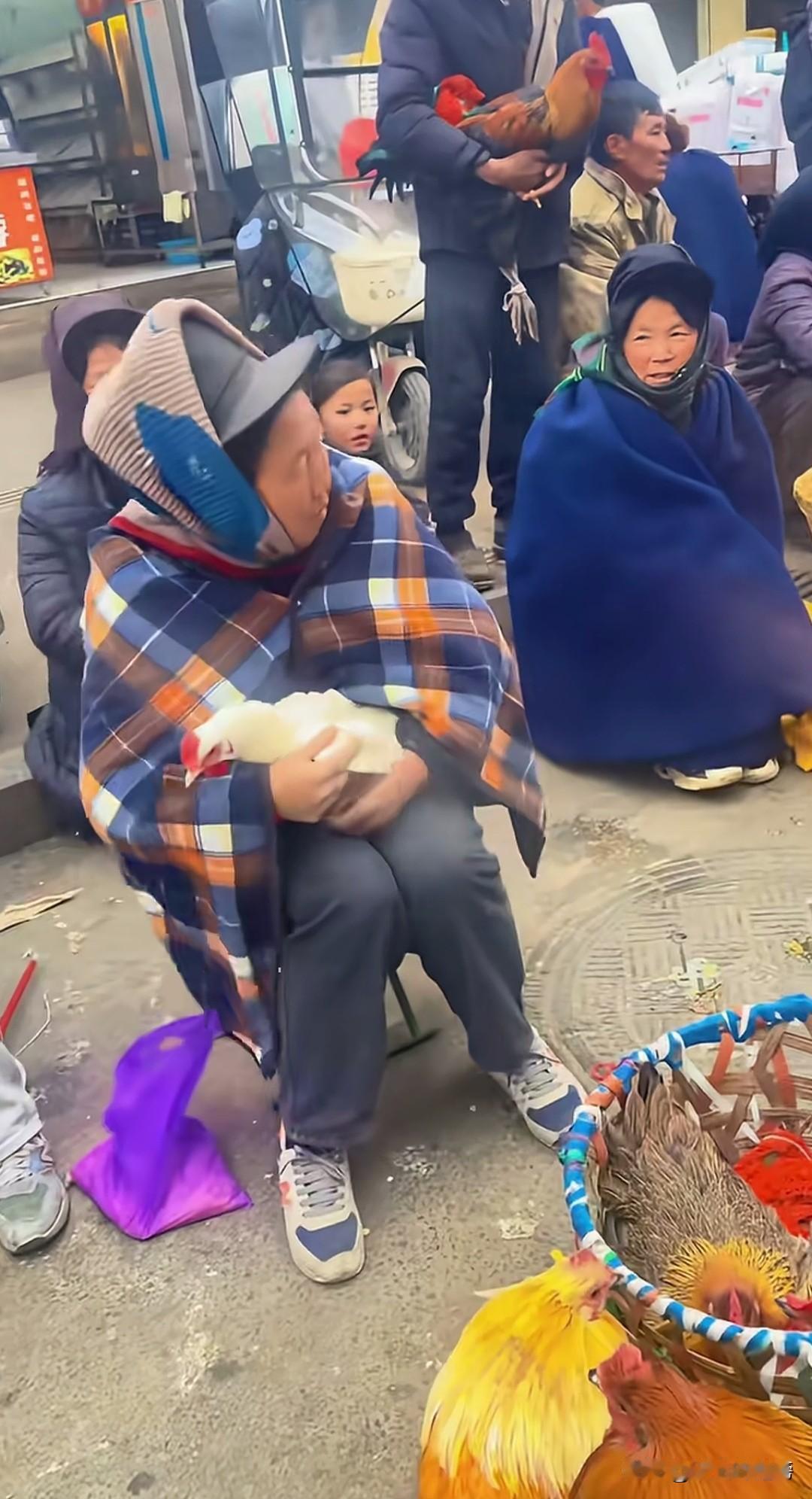 这都是给闫学晶筹钱的，他们知道闫学晶一家很困难，于是把鸡都卖了给闫学晶一家筹钱渡