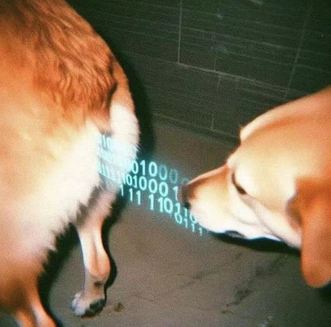 分享图片 ​​​