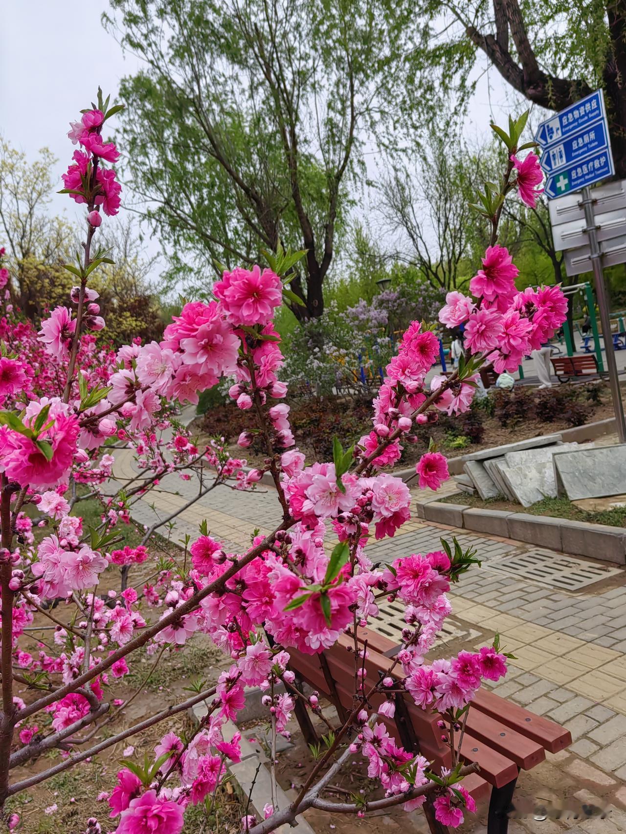 朋友们，这几个地方绝对不能去，说的天花乱坠都不能去，轻则伤财，倾家荡产，重则把自