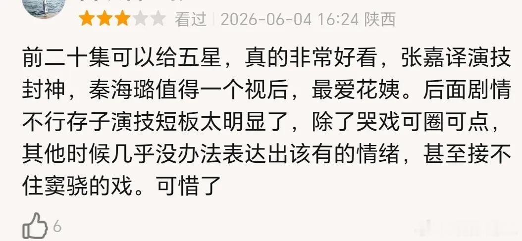 刘浩存粉丝说只要看过主角的剧粉对刘浩存就说不出重话，可是短评看起来都不大满意刘浩
