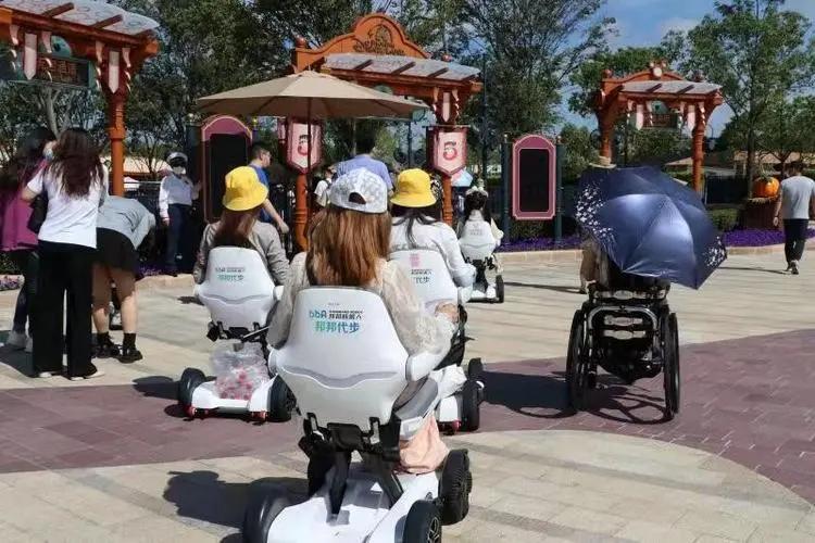 新能源“车”，新增第五大门类？你没看错，难道电动轮椅不配吗？人家也是充电的！
听