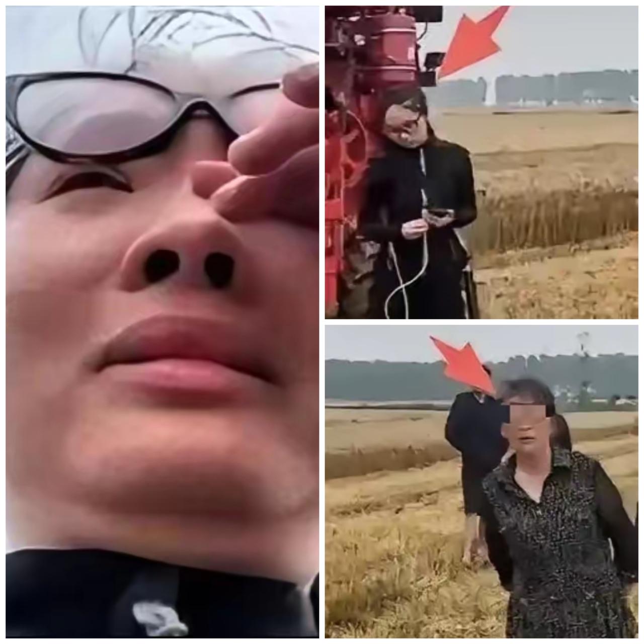湖北襄阳摊上大事！一对95后夫妻，从河南赶去当地帮农户抢收小麦，跟一个农户大妈谈