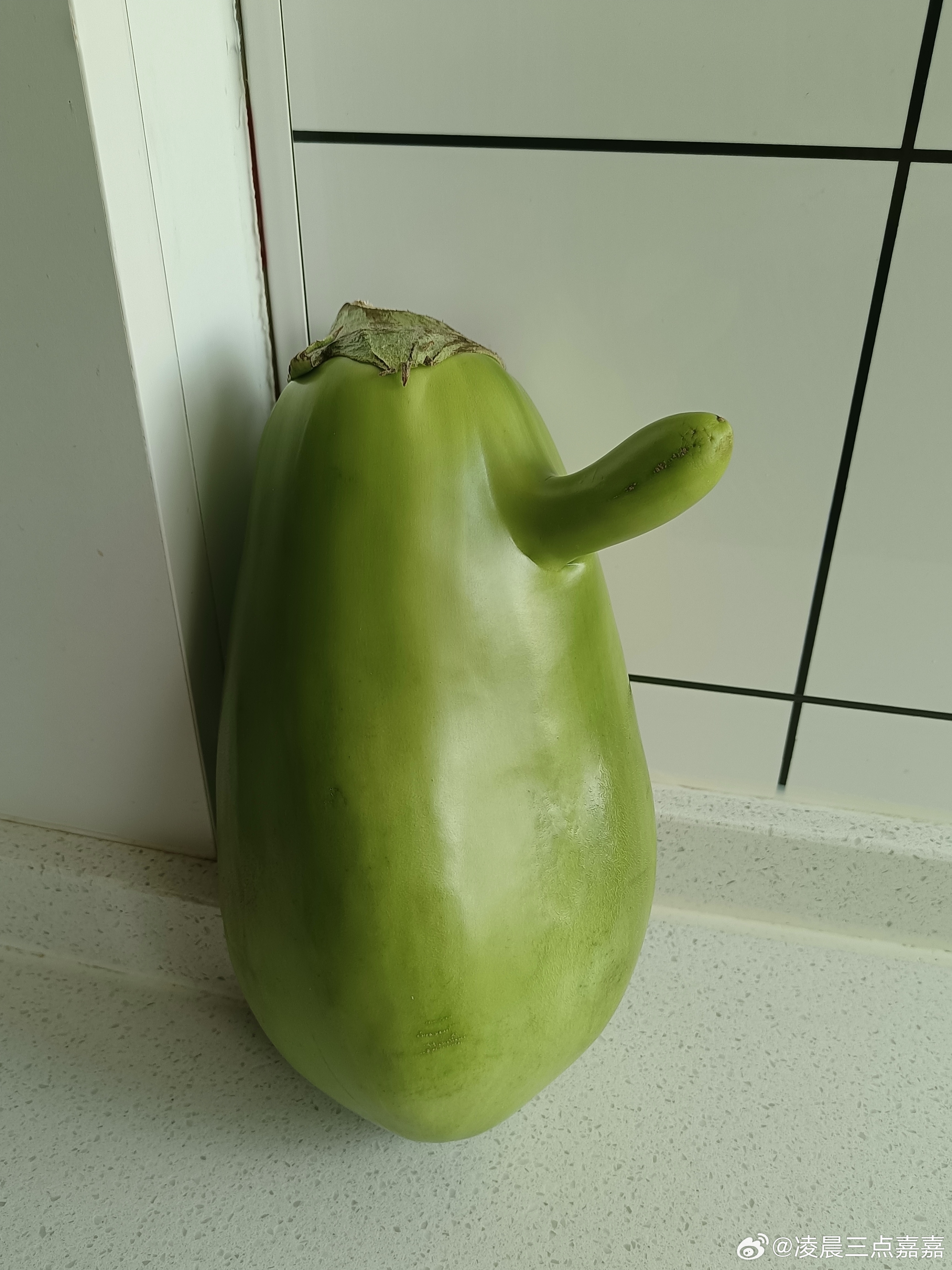 早上逛菜市场，买到一个好玩的猜猜是什么？发现生活中的小美好家长说今晚可以吃剩菜了