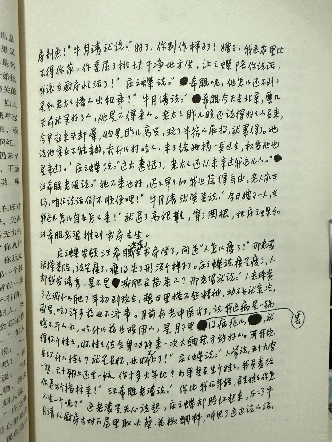 以一座城池的浮沉与一众文人的际遇，写尽时代浪潮里人性的困顿、欲望与精神家园的陷落