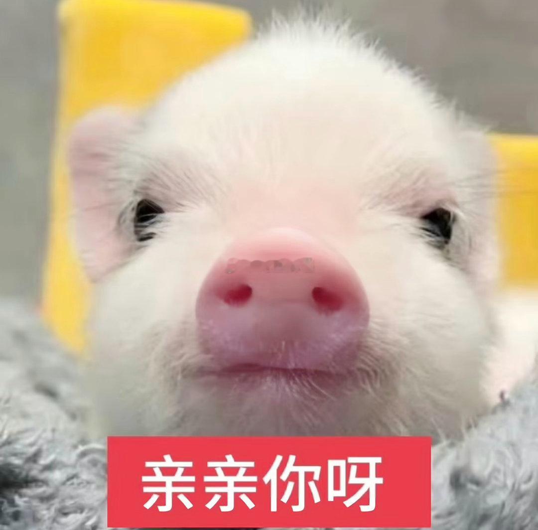 分享图片 