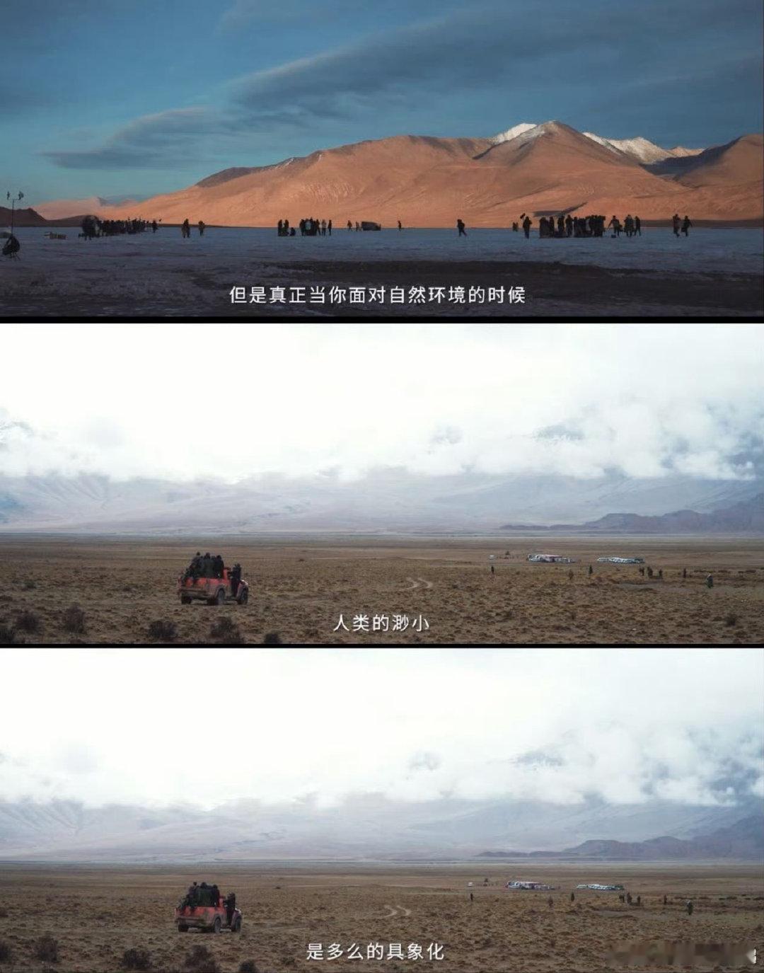 生命树把西北的野拍进骨子里 《生命树》真绝！把西北的野性拍得淋漓尽致，巡山队的坚