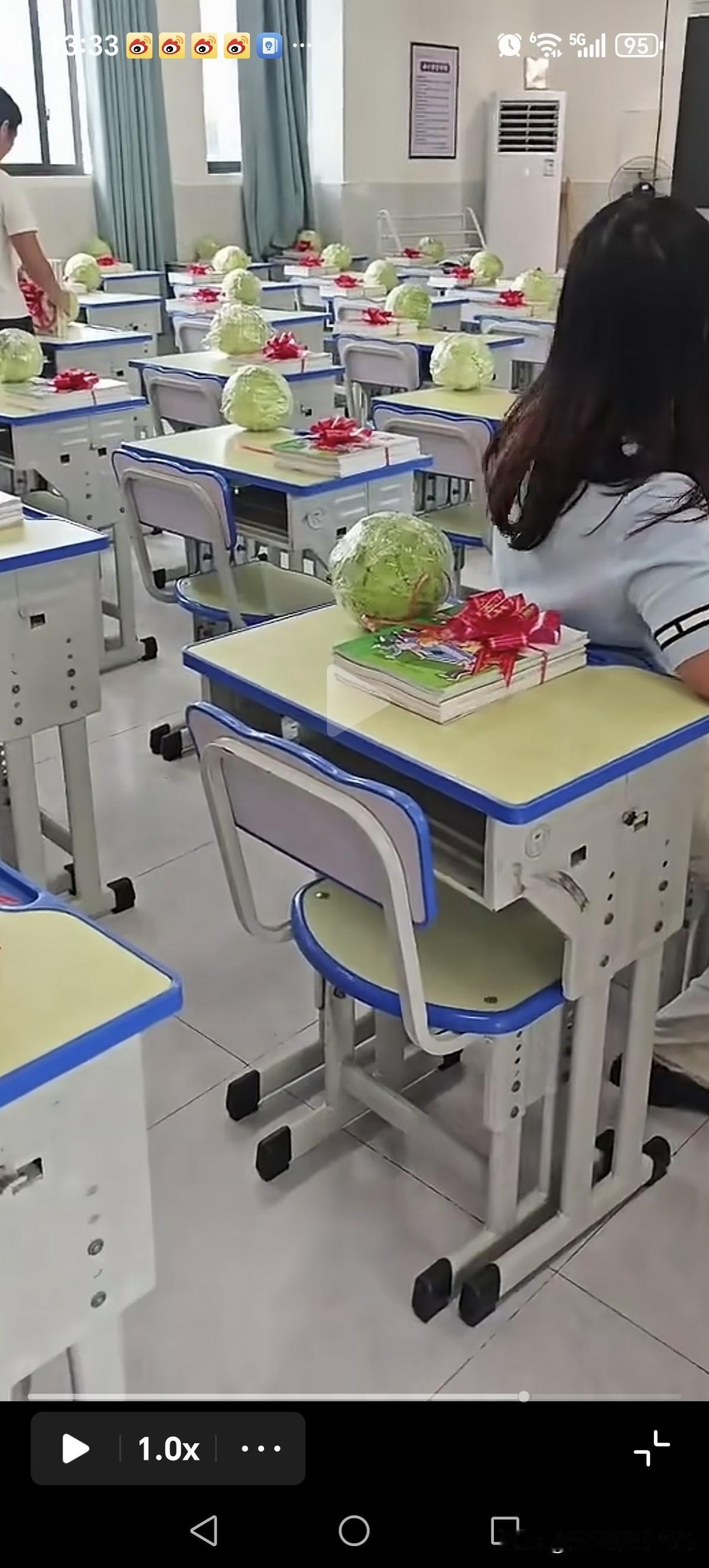 想问一下大家，每个书桌上，放个包菜是什么梗？！[我想静静][我想静静]