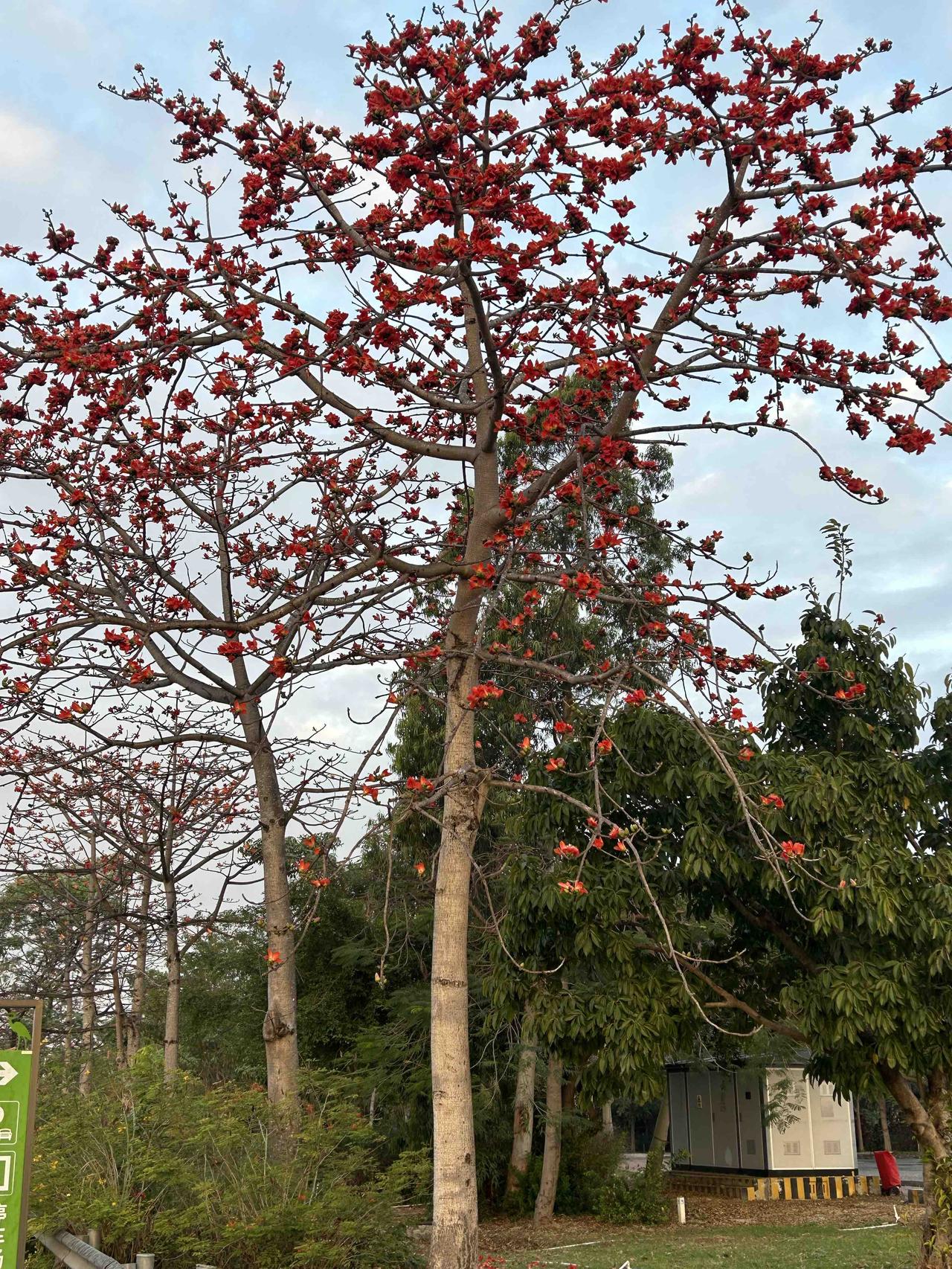 心宽一寸，病退一丈​‎͏ 

要是身体不舒服，甭管轻重，都别慌。稳住情绪，按时