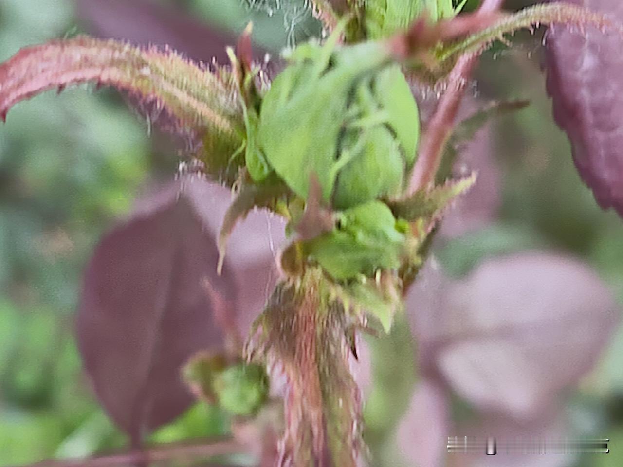 又是崭新的一天
一天好心情